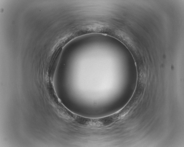 X0000065240403200602171429