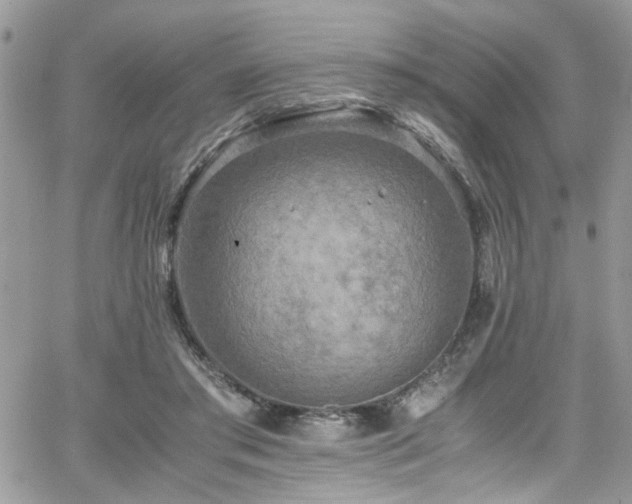 X0000065240405200602171429