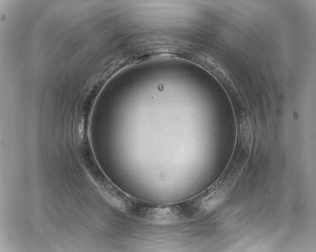 X0000065240406200602171429