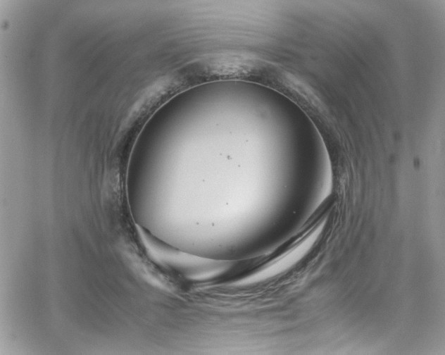 X0000065240407200602171429