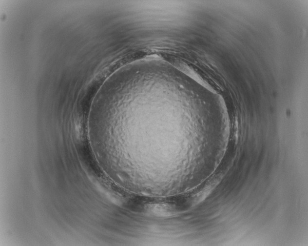 X0000065240408200602171429