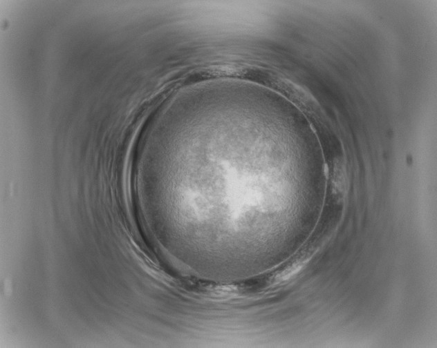 X0000065240409200602171429