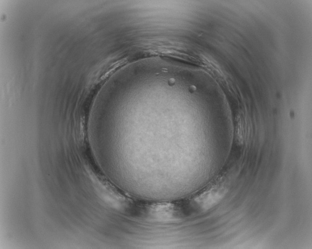 X0000065240410200602171429