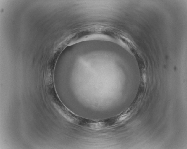 X0000065240411200602171429