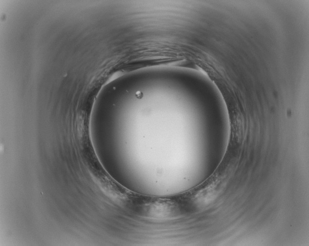 X0000065240412200602171429