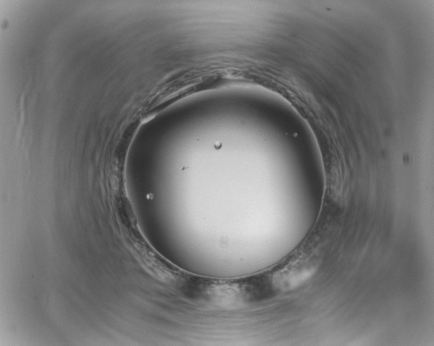 X0000065240413200602171429