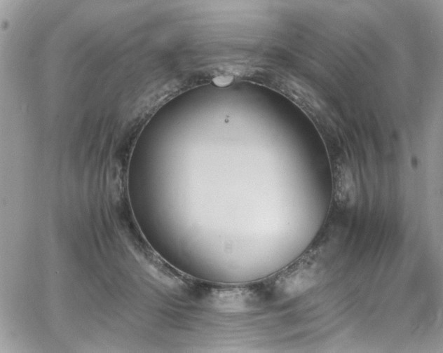 X0000065240414200602171429