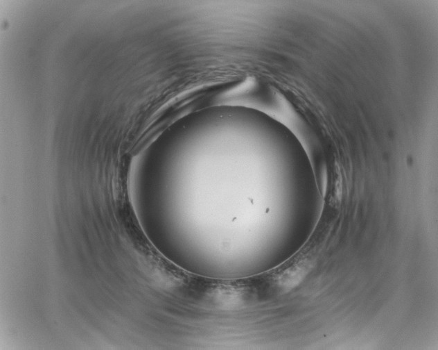 X0000065240416200602171429