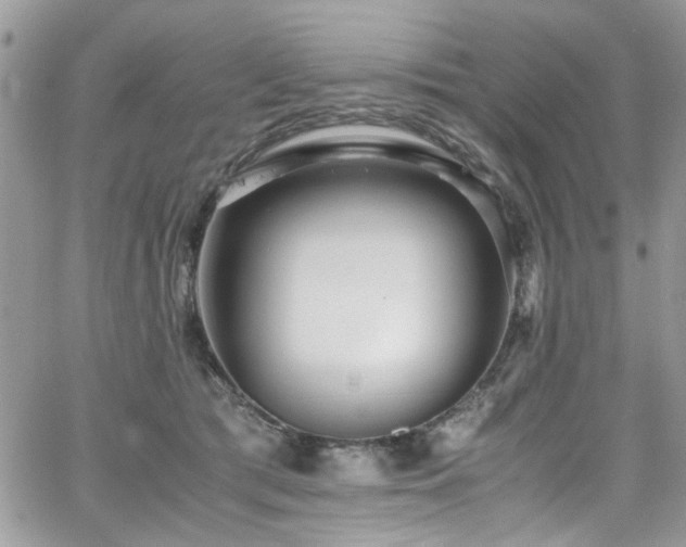 X0000065240417200602171429