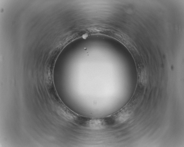 X0000065240418200602171429