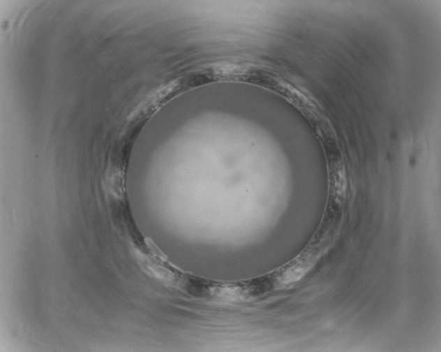 X0000065240419200602171429