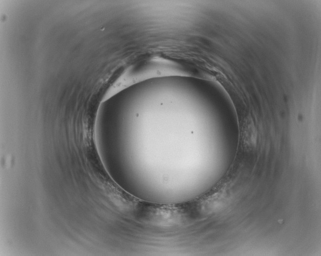 X0000065240420200602171429