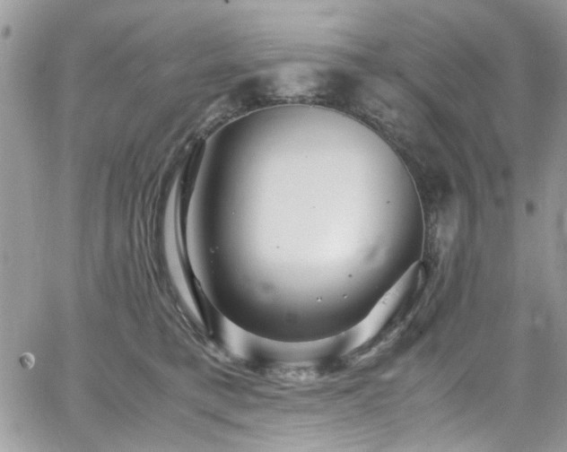 X0000065240421200602171429