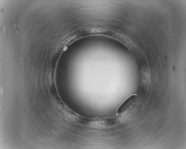 X0000065240422200602171429