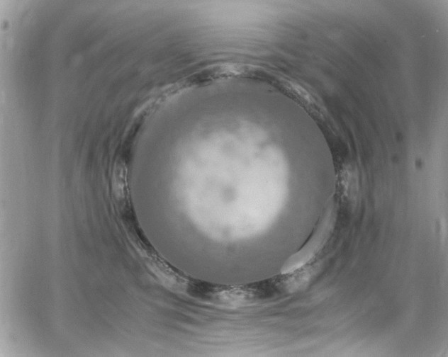 X0000065240423200602171429