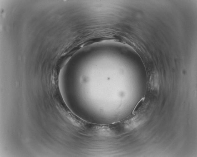 X0000065240424200602171429