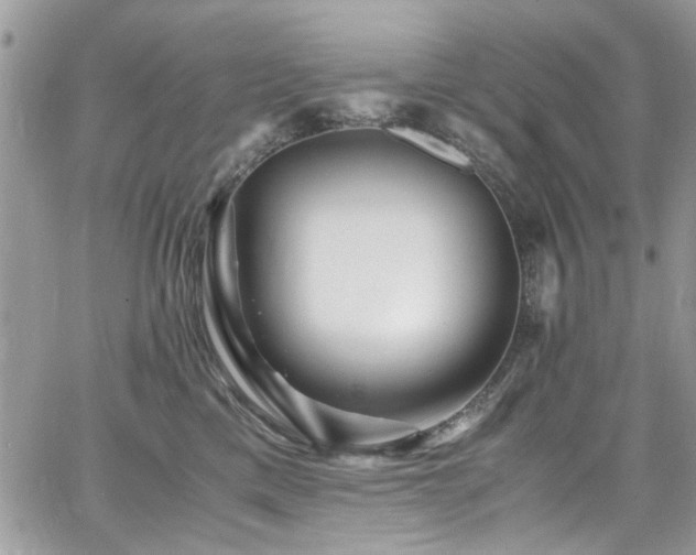 X0000065240425200602171429