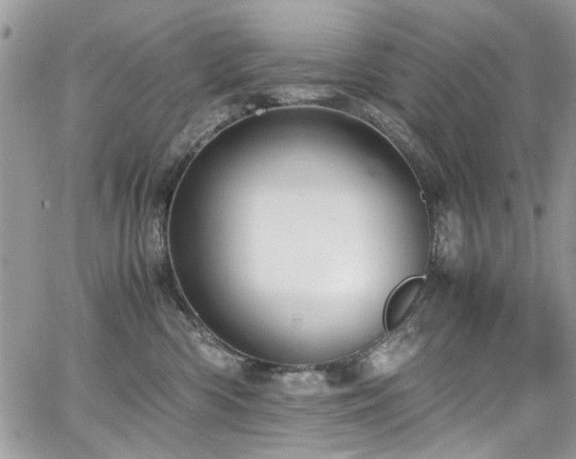 X0000065240426200602171429