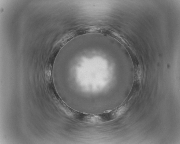 X0000065240427200602171429