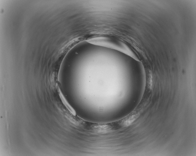 X0000065240428200602171429