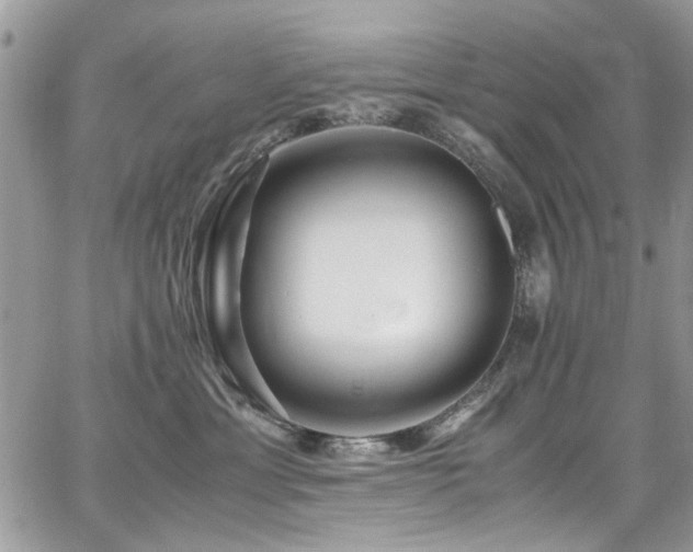 X0000065240429200602171429