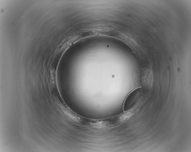 X0000065240430200602171429