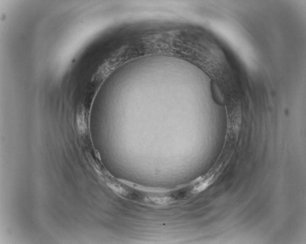 X0000065240431200602171429