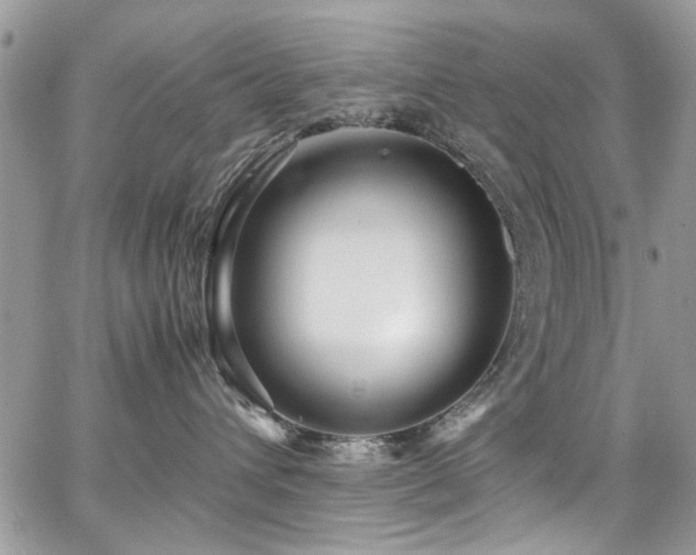 X0000065240432200602171429