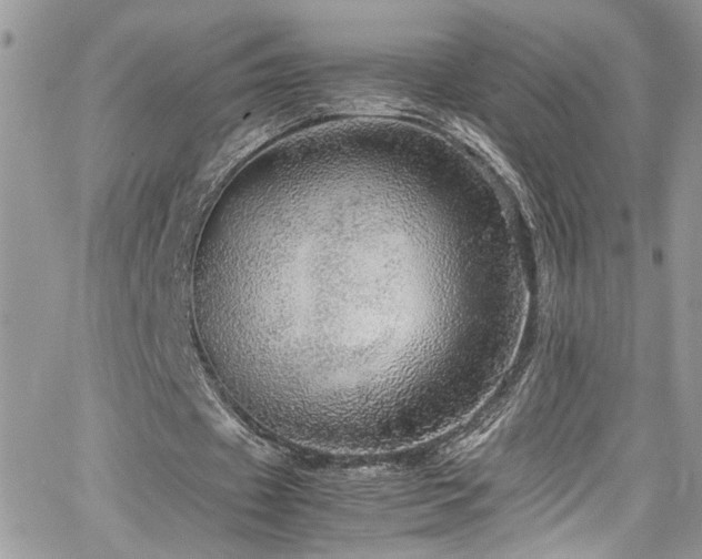 X0000065240433200602171428