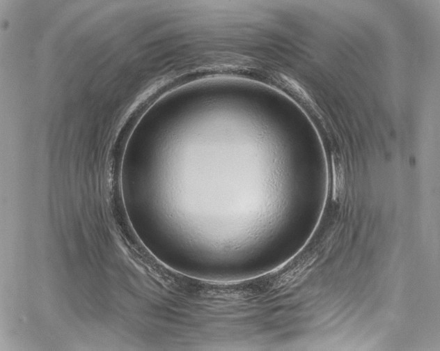 X0000065240435200602171428