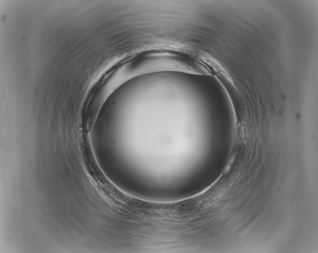 X0000065240436200602171428