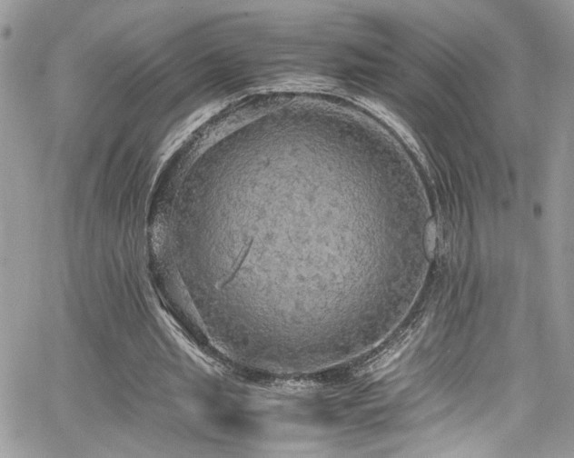 X0000065240437200602171428