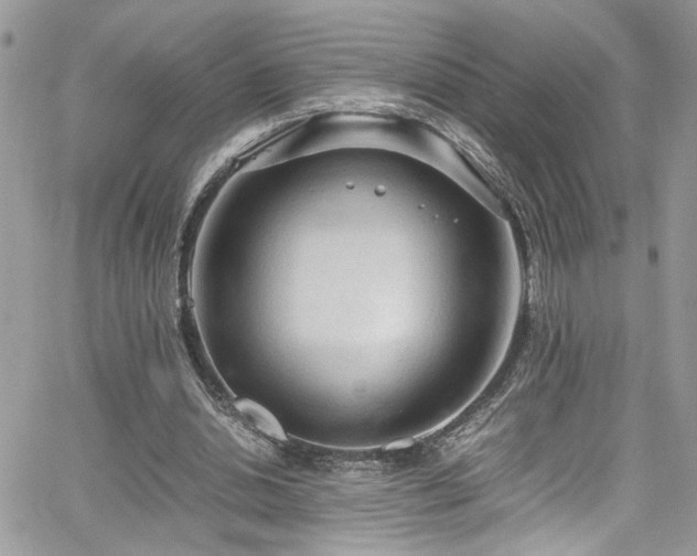 X0000065240438200602171428