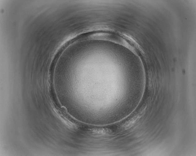 X0000065240439200602171428