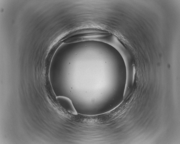 X0000065240440200602171428