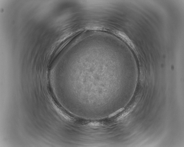 X0000065240441200602171428