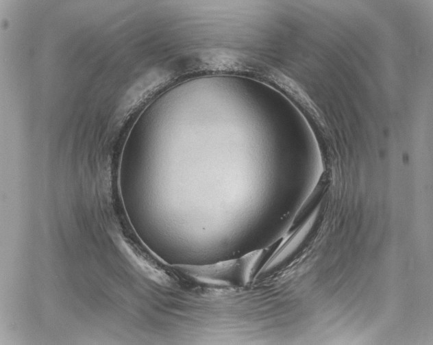 X0000065240442200602171428