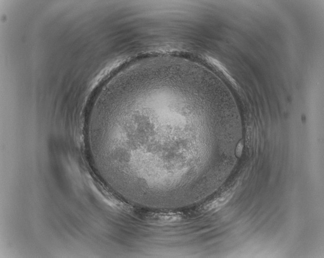 X0000065240443200602171428