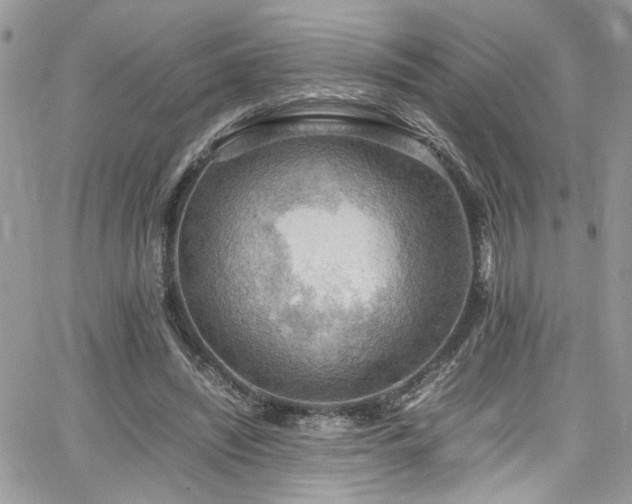 X0000065240444200602171428