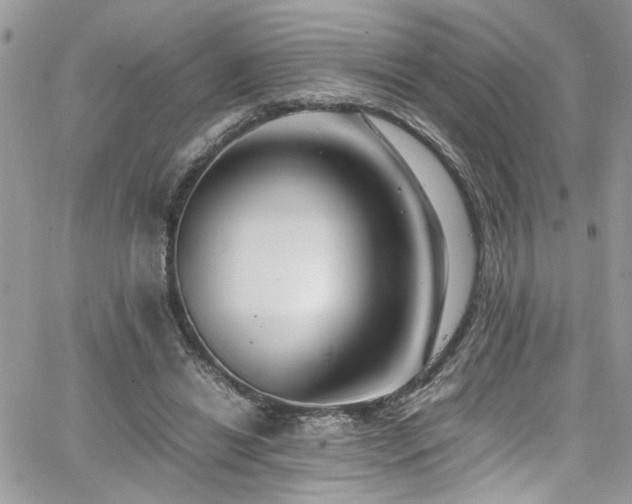 X0000065240446200602171428