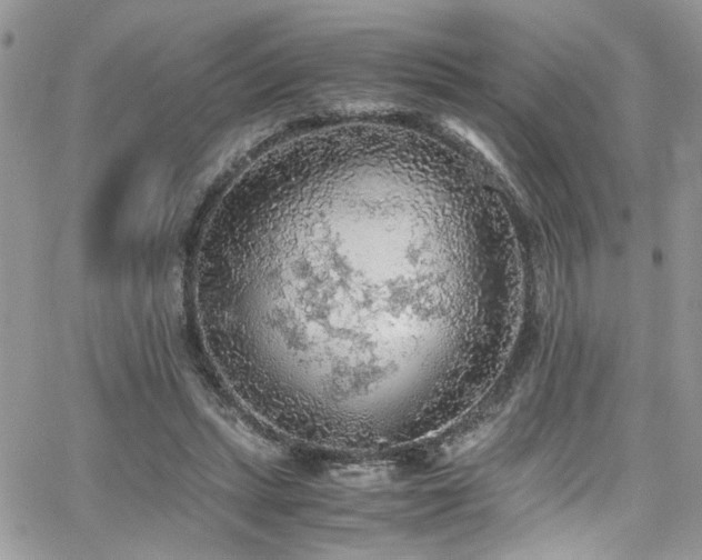 X0000065240447200602171428