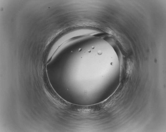 X0000065240448200602171428