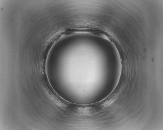 X0000065240450200602171428