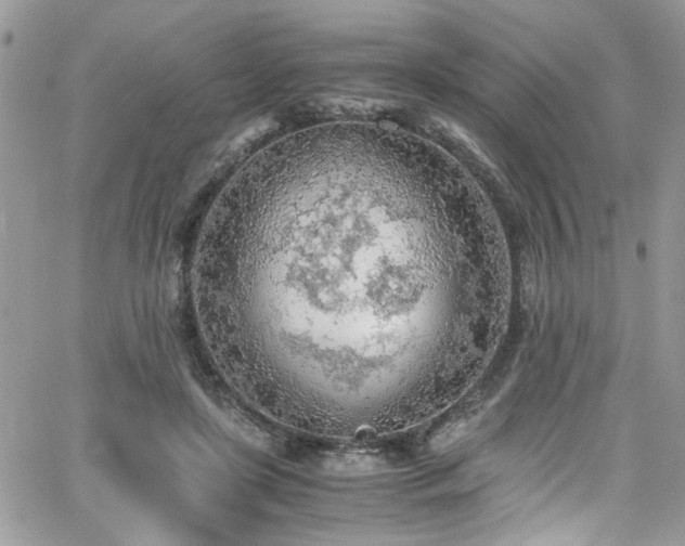 X0000065240451200602171428