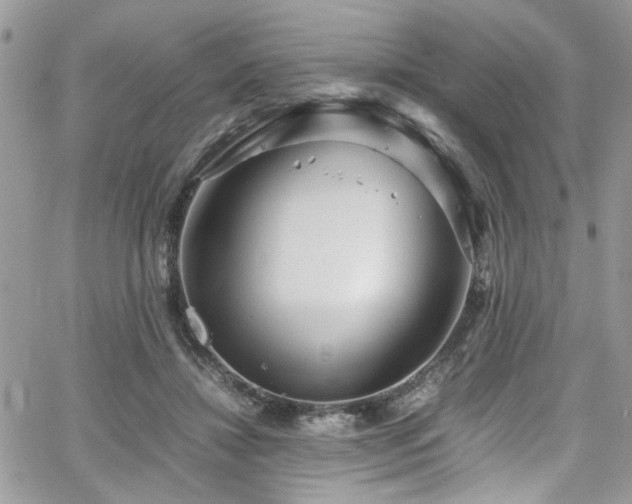 X0000065240452200602171428