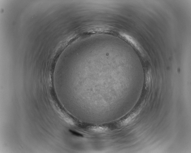 X0000065240453200602171428