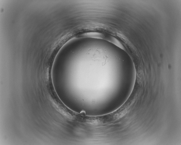 X0000065240454200602171428