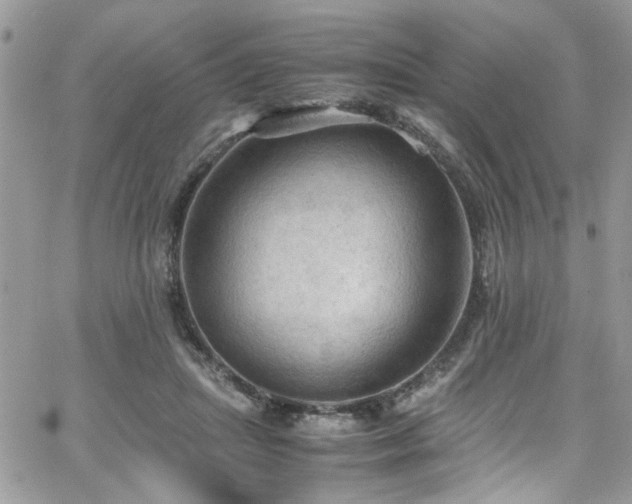 X0000065240455200602171428