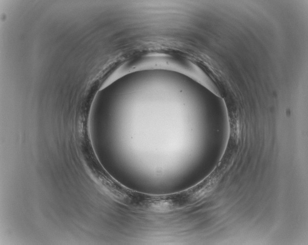 X0000065240456200602171428