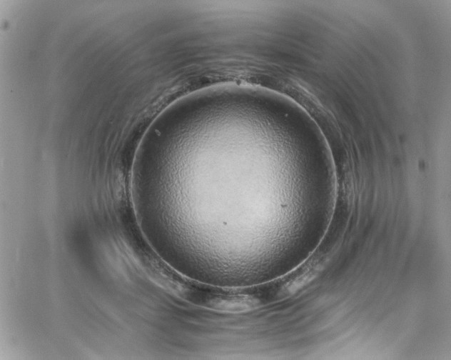 X0000065240459200602171428